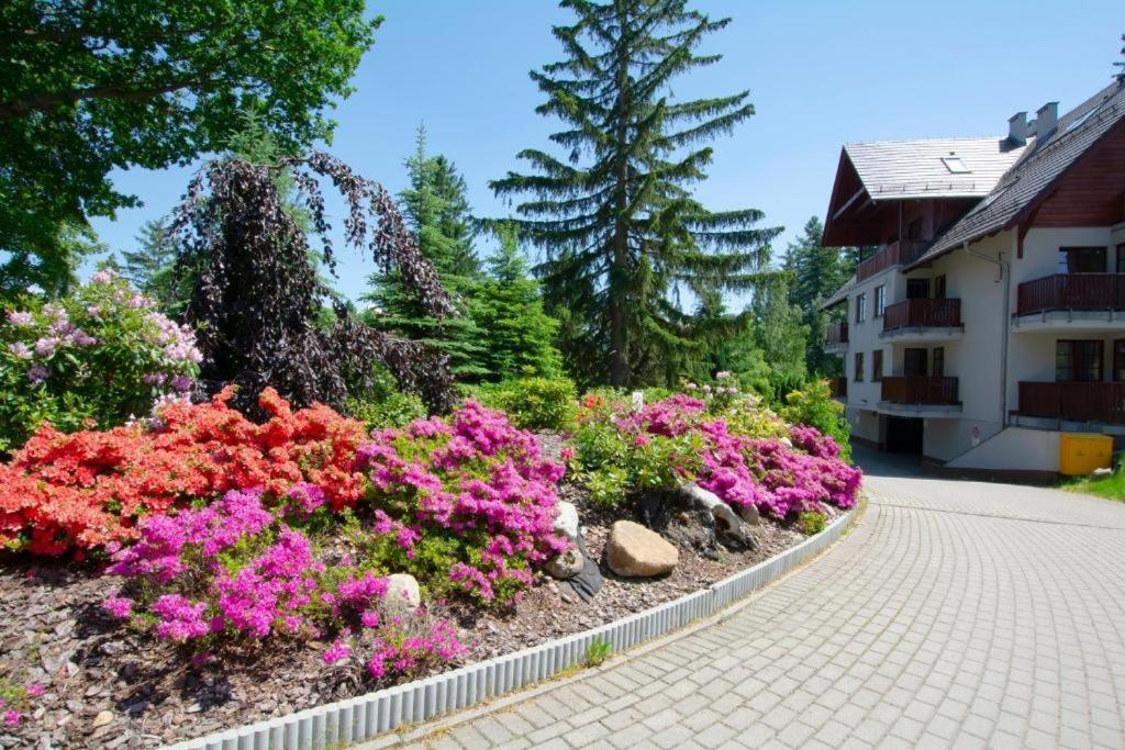 Apartament Polana-カルパッチ エクステリア 写真